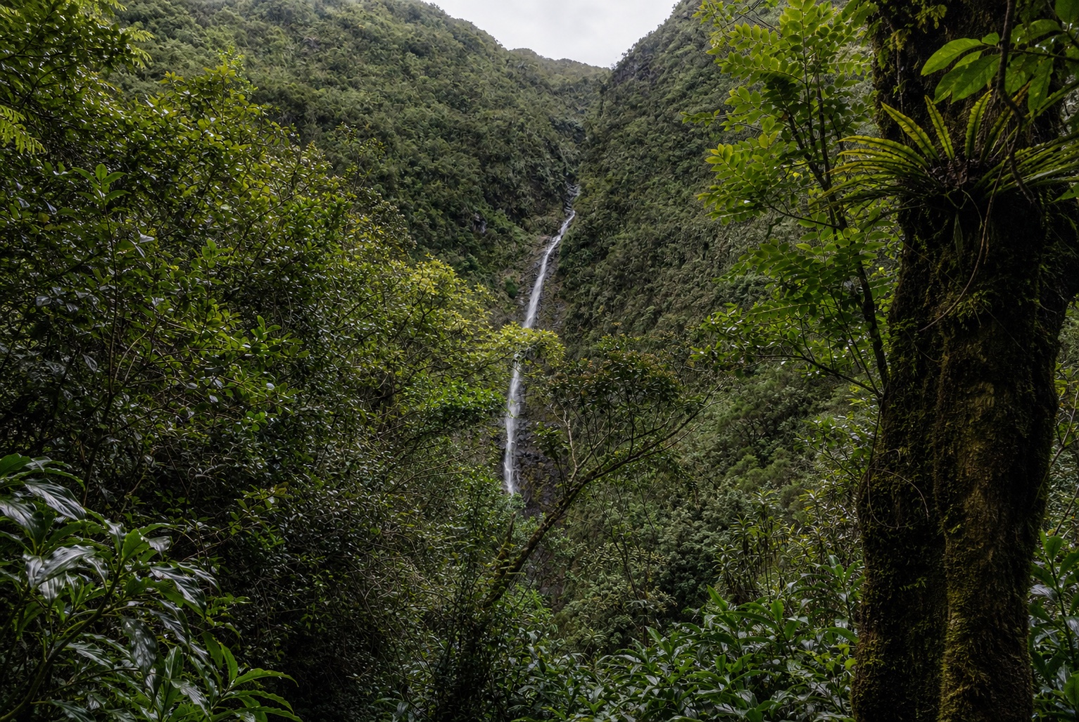 Cascade Biberon, vue 5