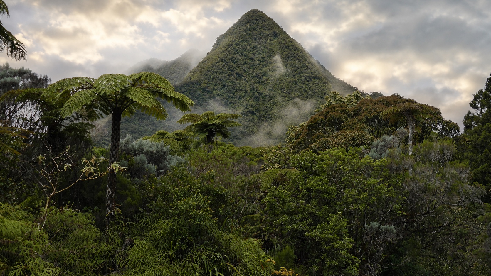 Le tour du Piton Bébour