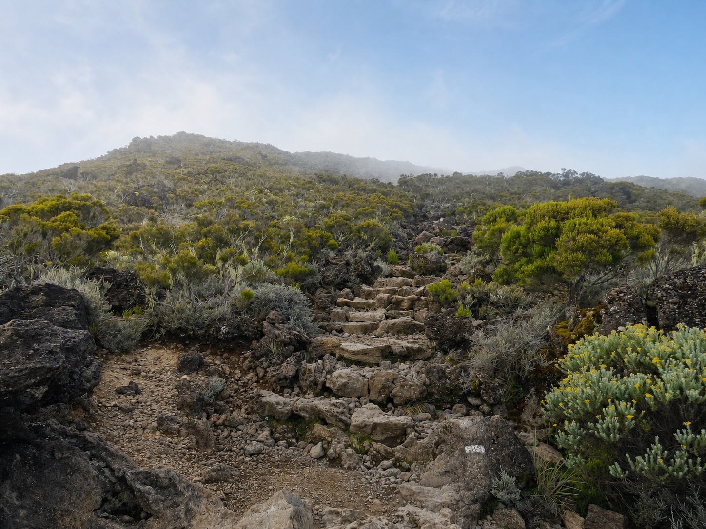 Piton des Neiges 2